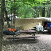 Review photo of Wild River Campground by Thomas R., September 21, 2020