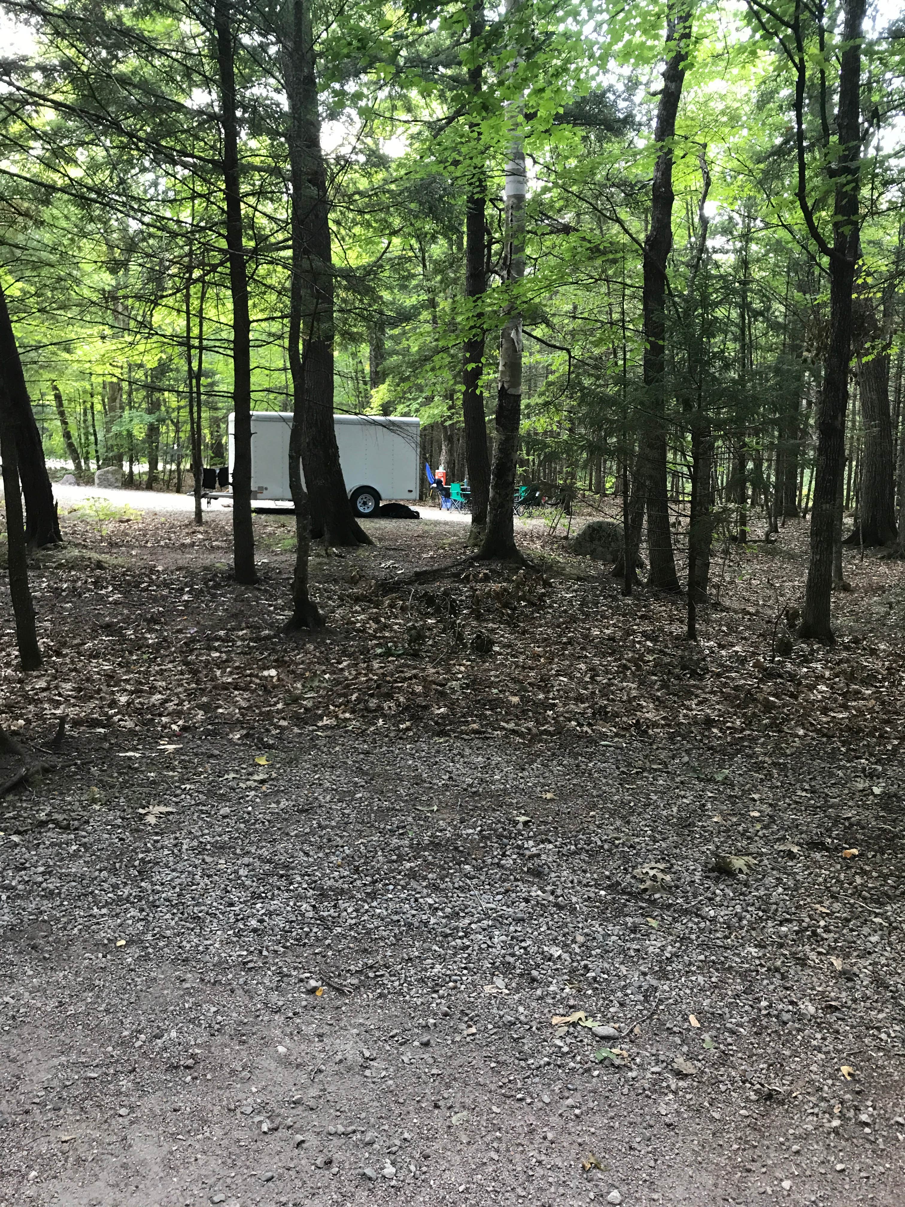 Thomas R.'s photo at Wild River Campground near Chatham, NH