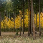 Review photo of Beartrap Meadow County Park by Neil T., September 21, 2020