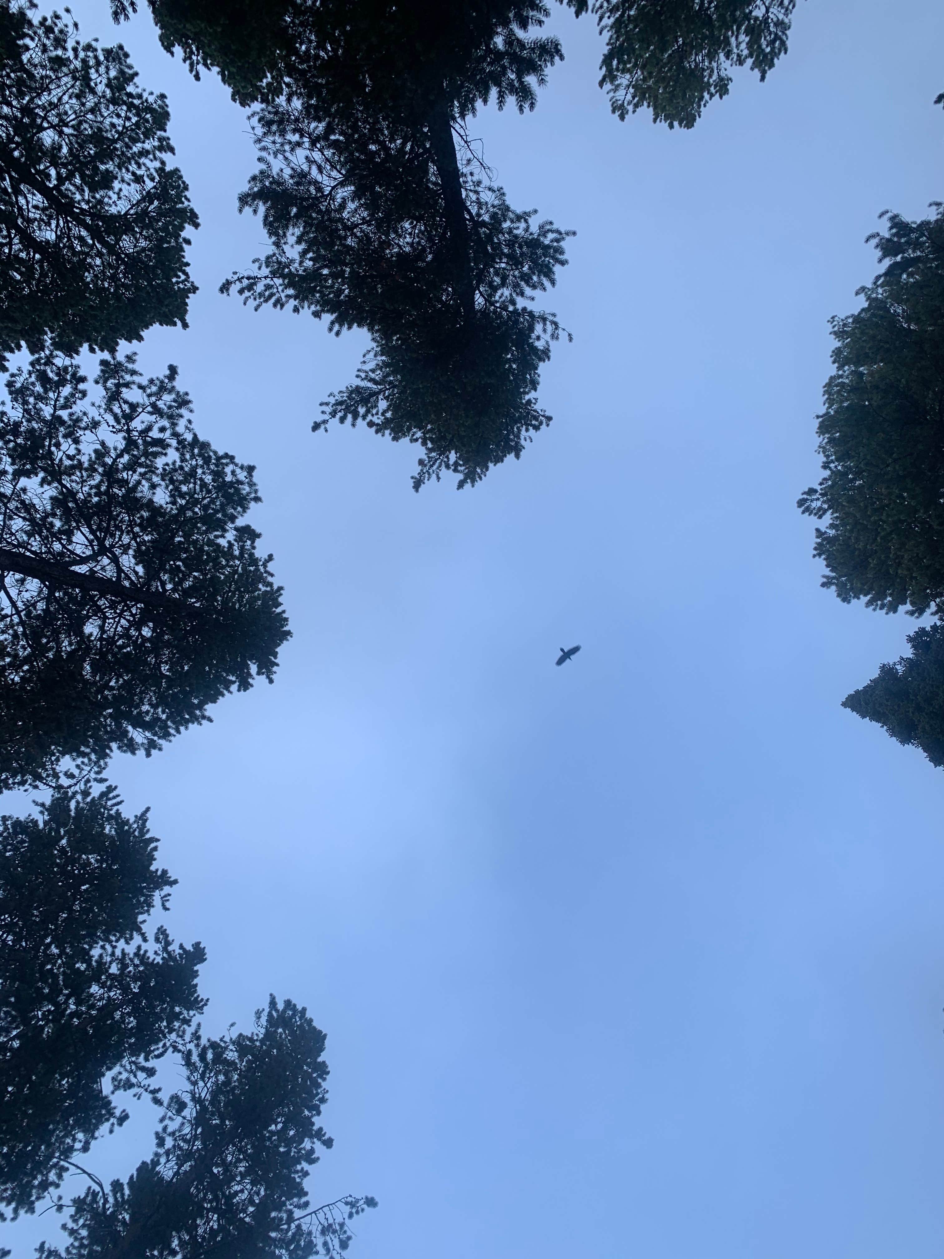 Camper-submitted photo at Beartrap Meadow County Park near Mills, WY