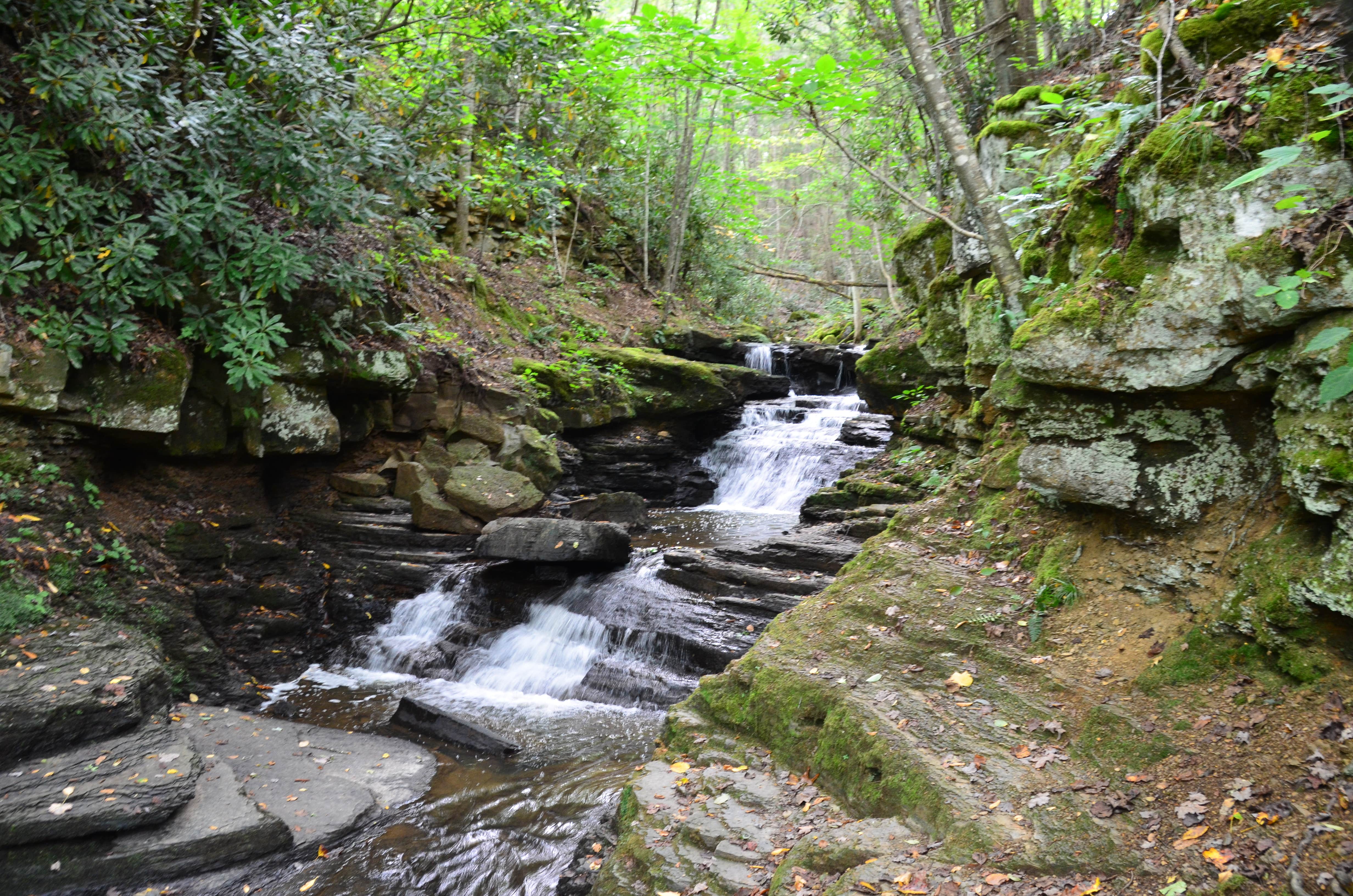 Camper-submitted photo at Pipestem Resort State Park Campground near Herndon, WV