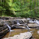 Review photo of Pipestem Resort State Park Campground by Kevin A., September 21, 2020