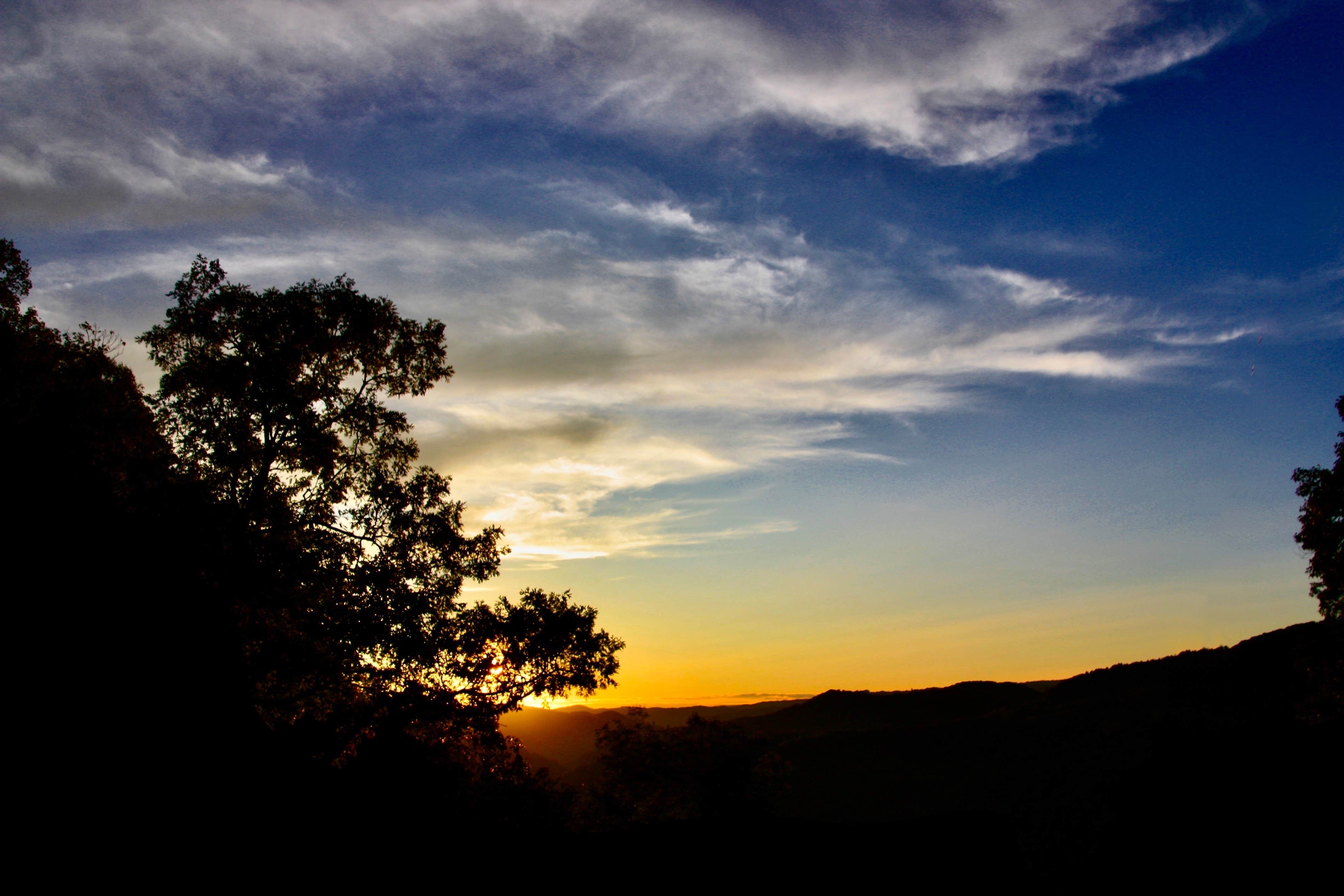 View All