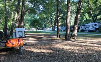 Thomas R.'s photo at Pettecote Junction Campground near Cedar Run, PA