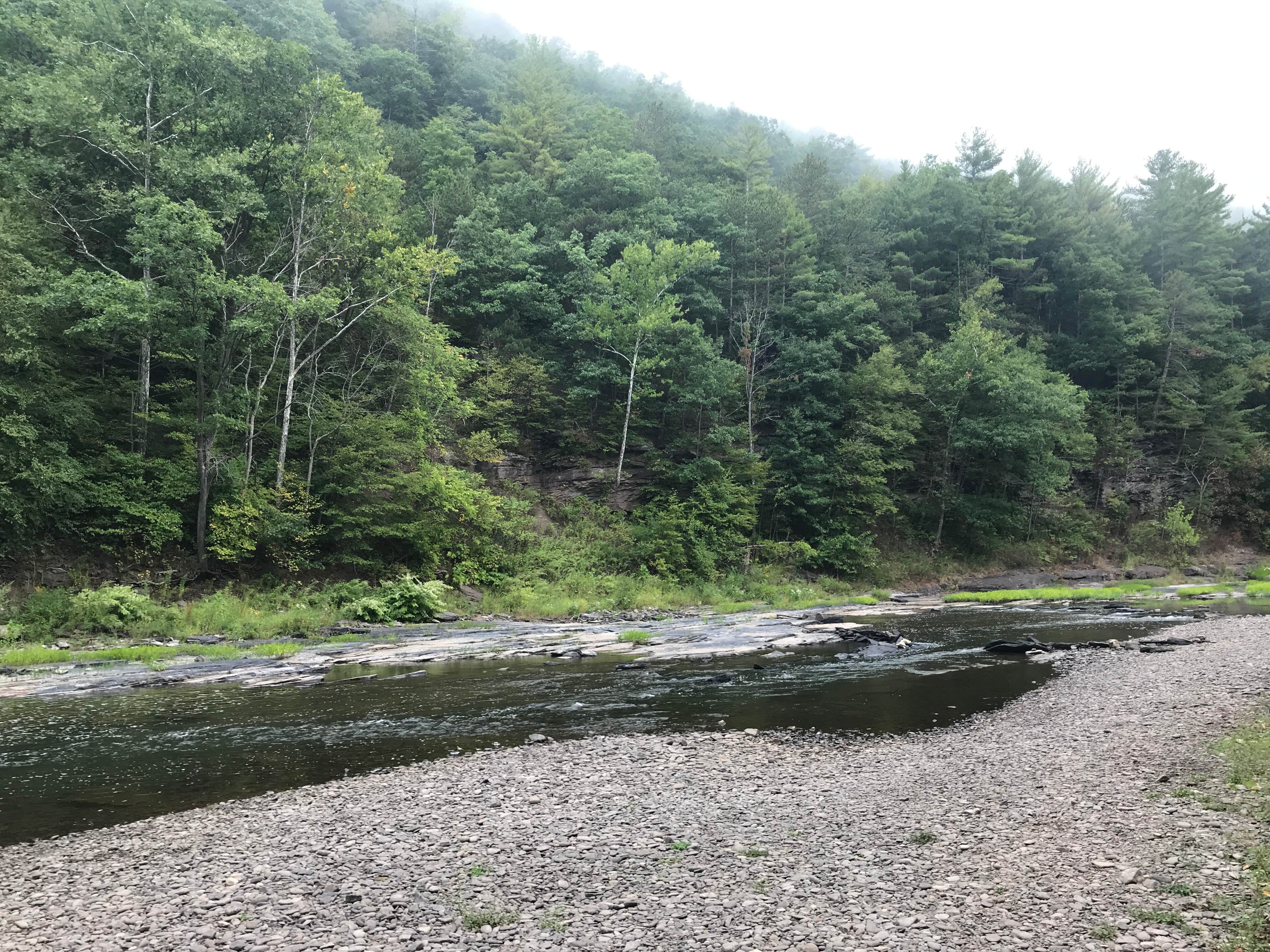 Camper-submitted photo at Pettecote Junction Campground near Cammal, PA