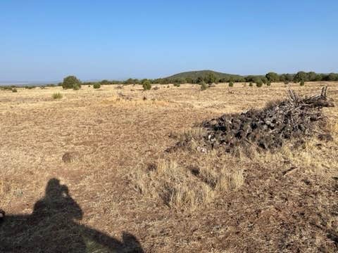 Camper-submitted photo at Kaibab National Forest near Williams, AZ