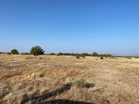 Camper-submitted photo at Kaibab National Forest near Williams, AZ