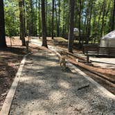 Review photo of Sweetwater Creek State Park Campground by Virginia W., May 17, 2018