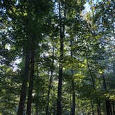 Review photo of Greenbrier State Park Campground - TEMPORARILY CLOSED by Andrew M., September 21, 2020