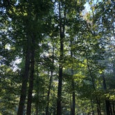 Review photo of Greenbrier State Park Campground by Andrew M., September 21, 2020