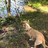 Review photo of Sweetwater Creek State Park Campground by Virginia W., May 17, 2018