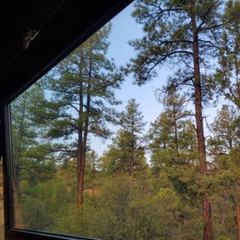 View out the trailer window from our campsite