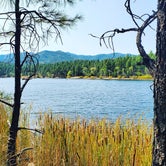 Review photo of Lynx Lake Campground by Amy B., September 21, 2020