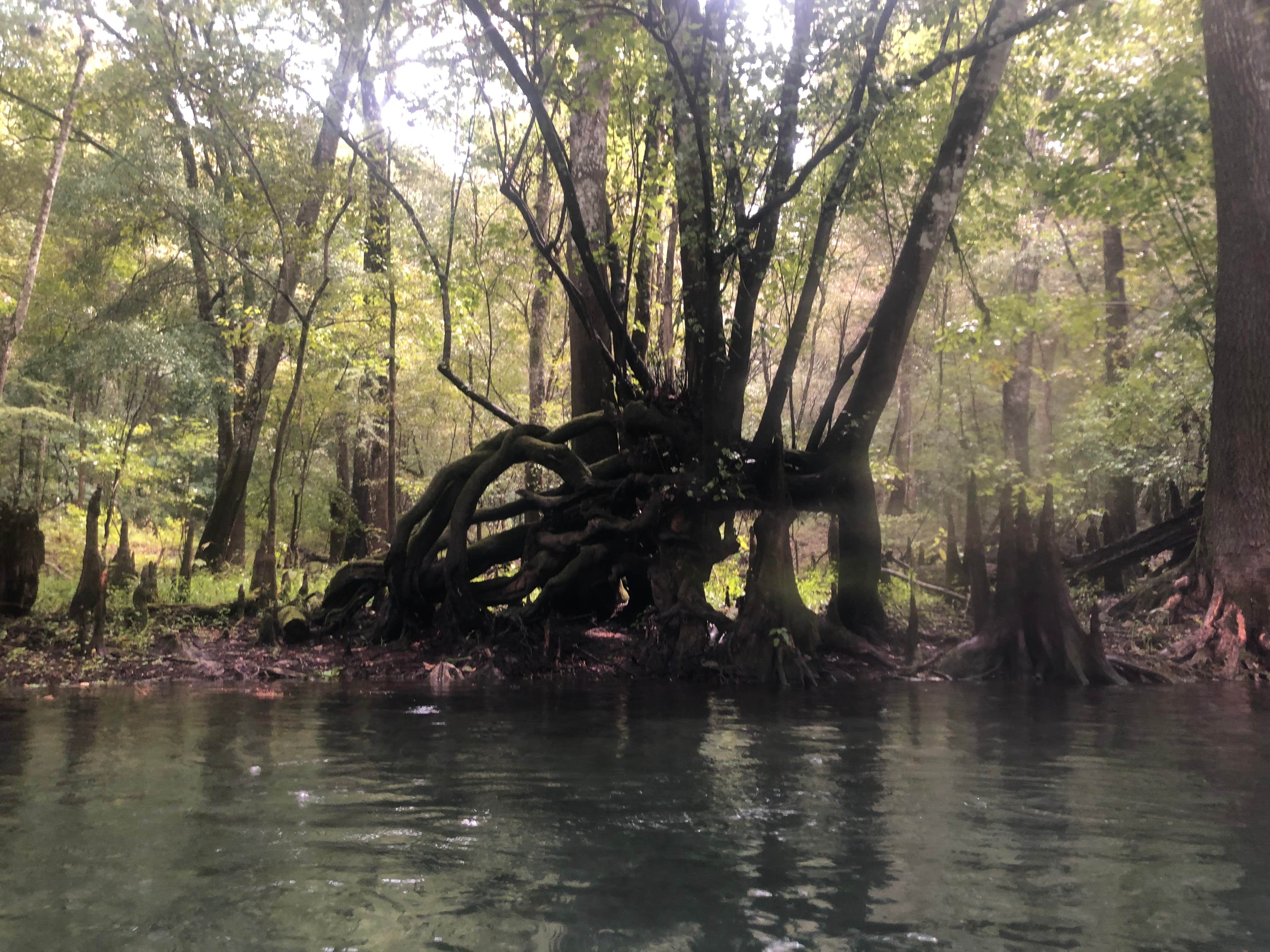 Camper-submitted photo at Ichetucknee Family Canoe and Cabins near Fort White, FL