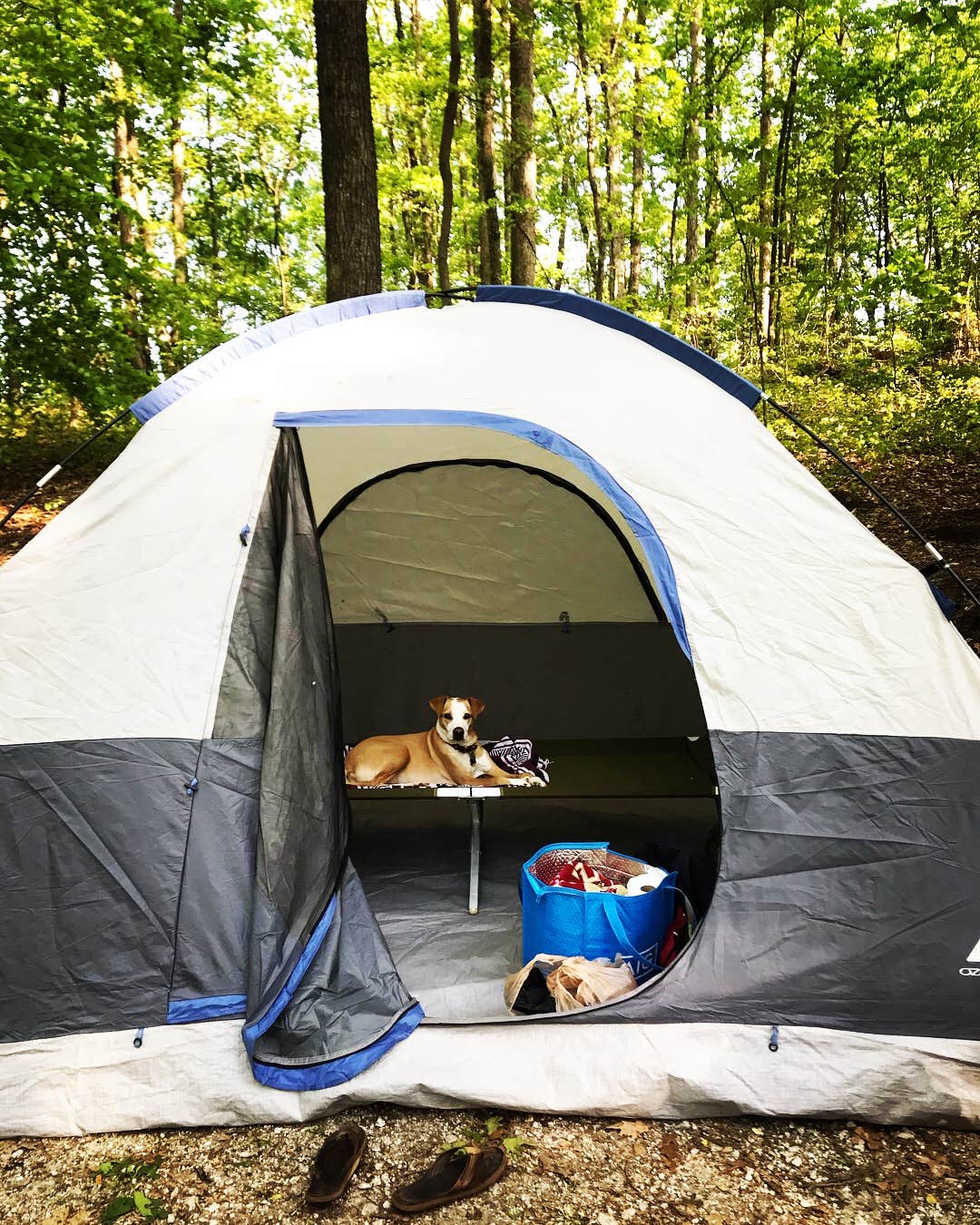 Virginia W.'s photo at Sweetwater Creek State Park Campground near Morrow, GA