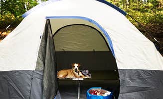 Virginia W.'s photo at Sweetwater Creek State Park Campground near Morrow, GA