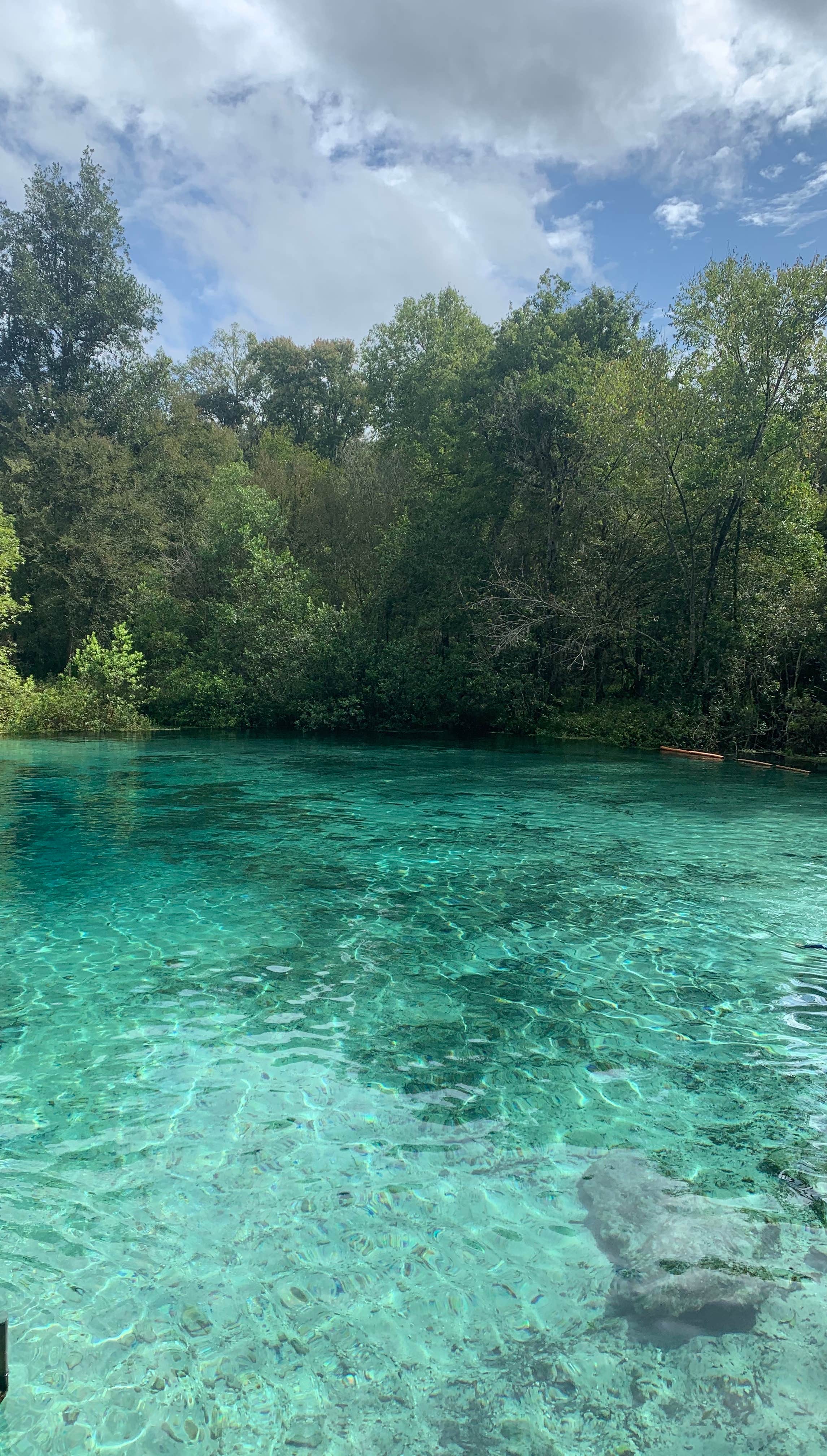 Camper submitted image from Ichetucknee Family Canoe and Cabins - 1