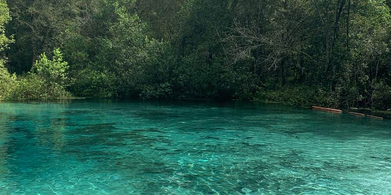 Camper submitted image from Ichetucknee Family Canoe and Cabins