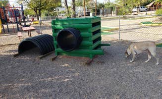 Lane H.'s photo of camping with pets at Kingman KOA near Laughlin, NV