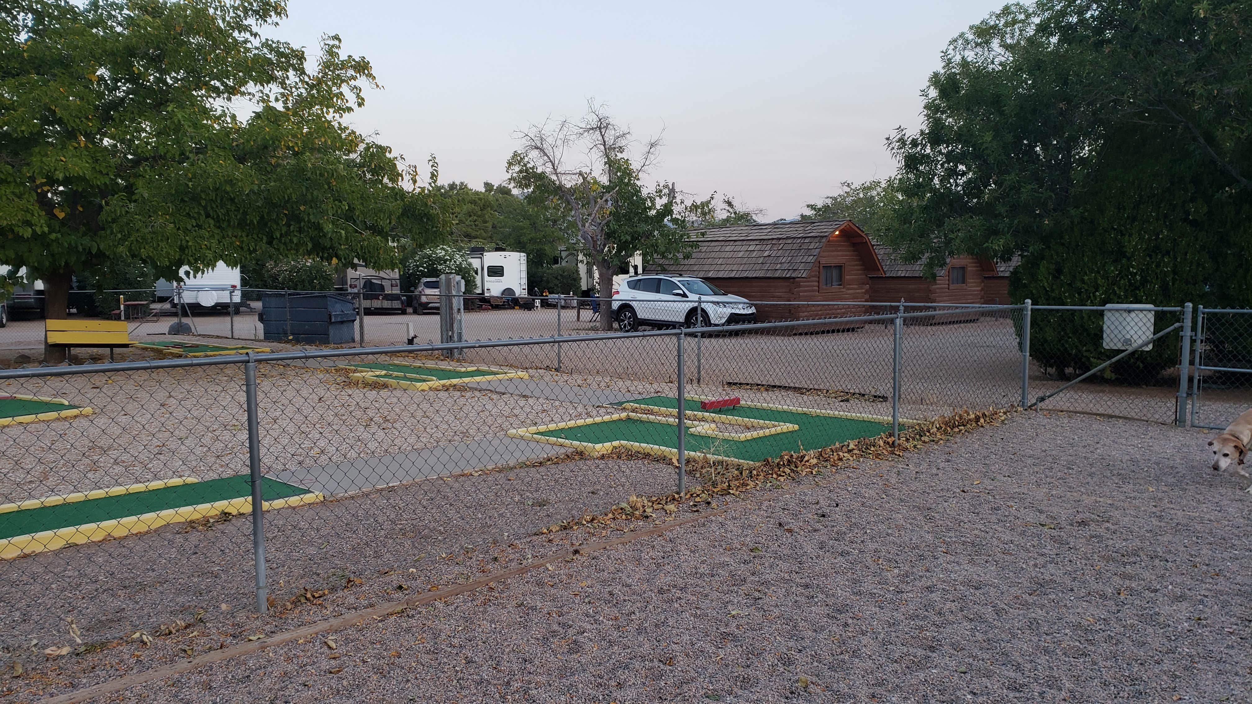 Lane H.'s photo of camping with pets at Kingman KOA near Peach Springs, AZ