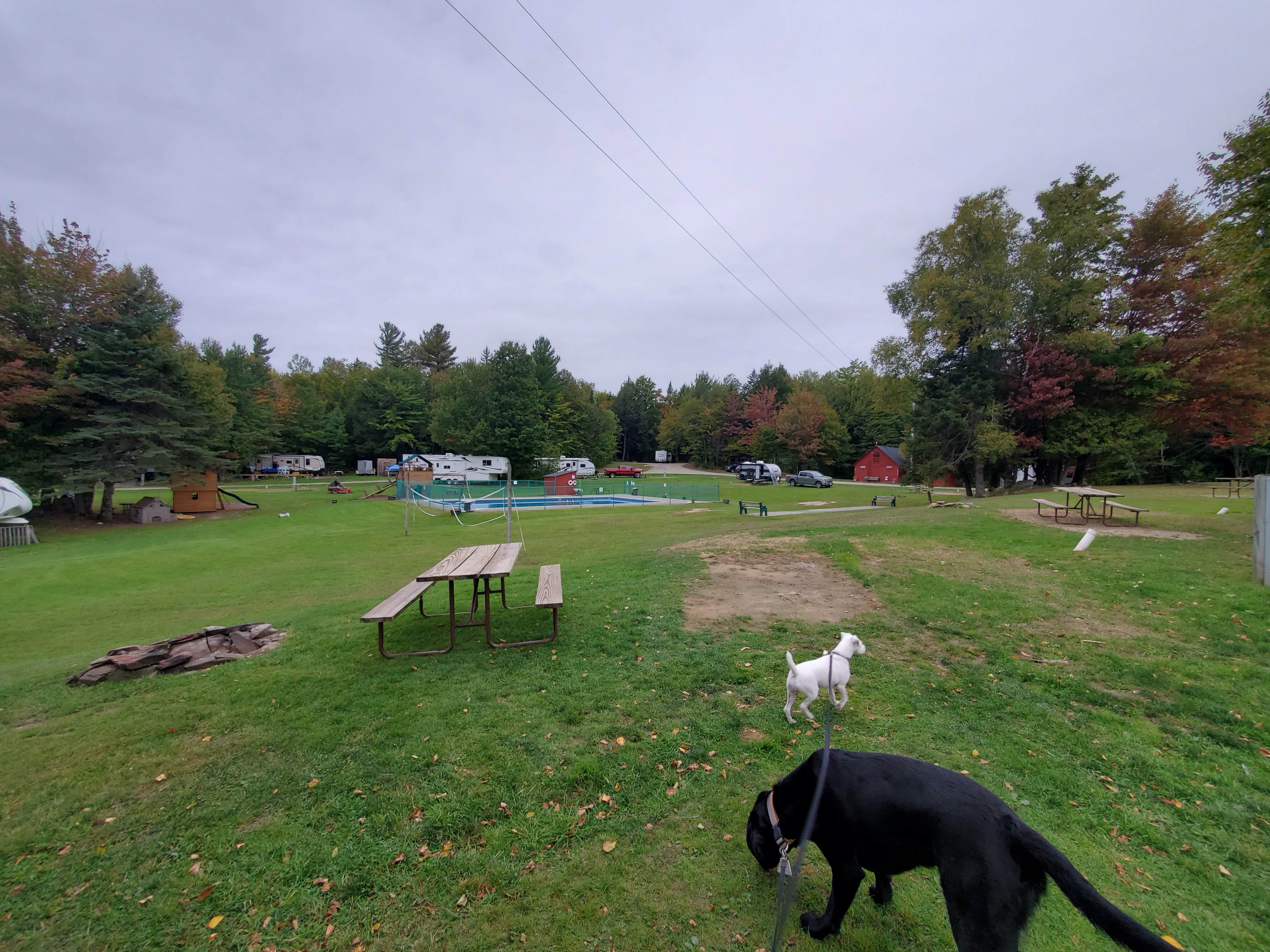 G Scott G.'s photo of camping with pets at Will-O-Wood Campground near North Troy, VT
