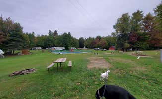 G Scott G.'s photo of camping with pets at Will-O-Wood Campground in Vermont