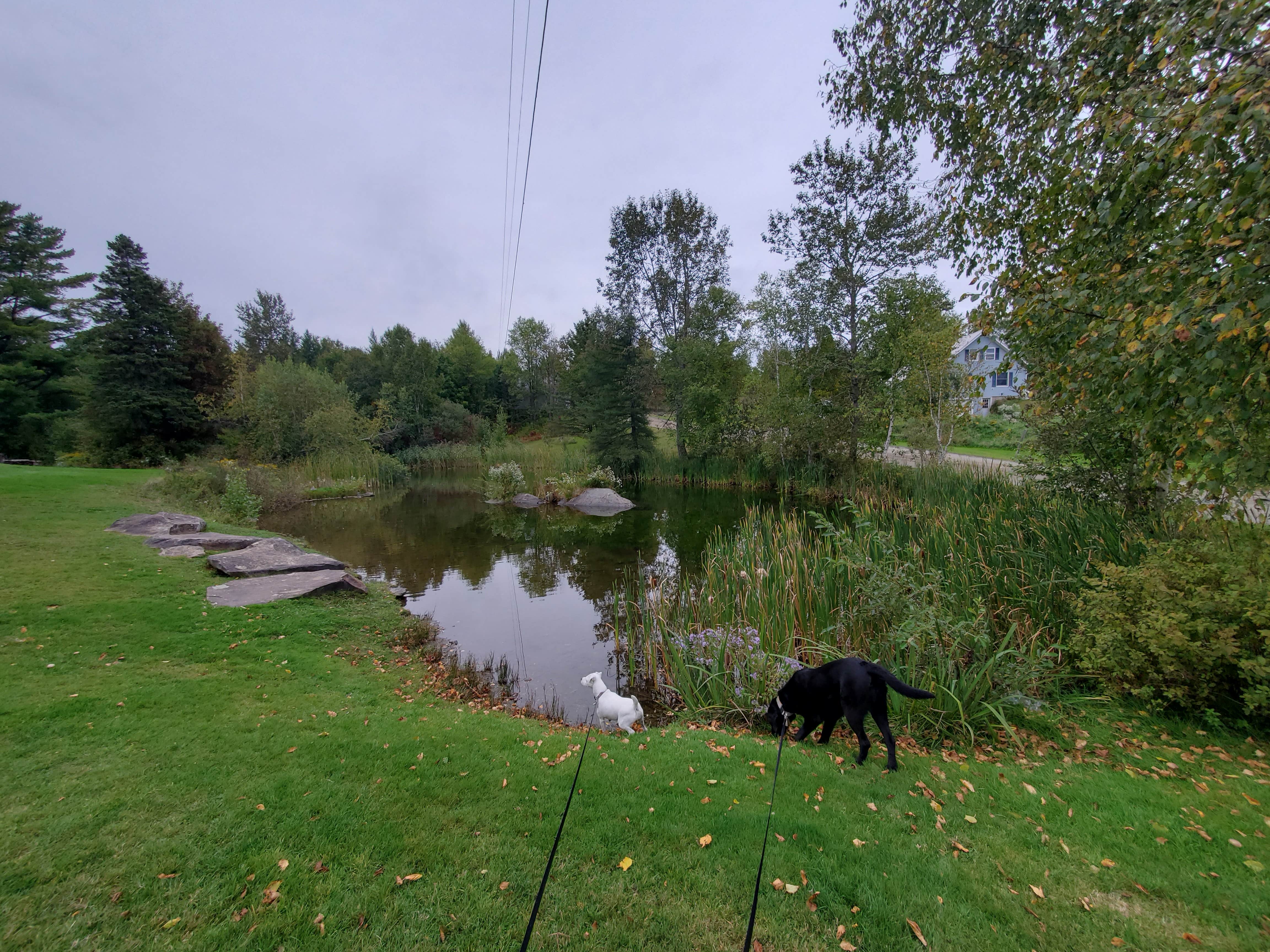 Camper-submitted photo at Will-O-Wood Campground near North Troy, VT
