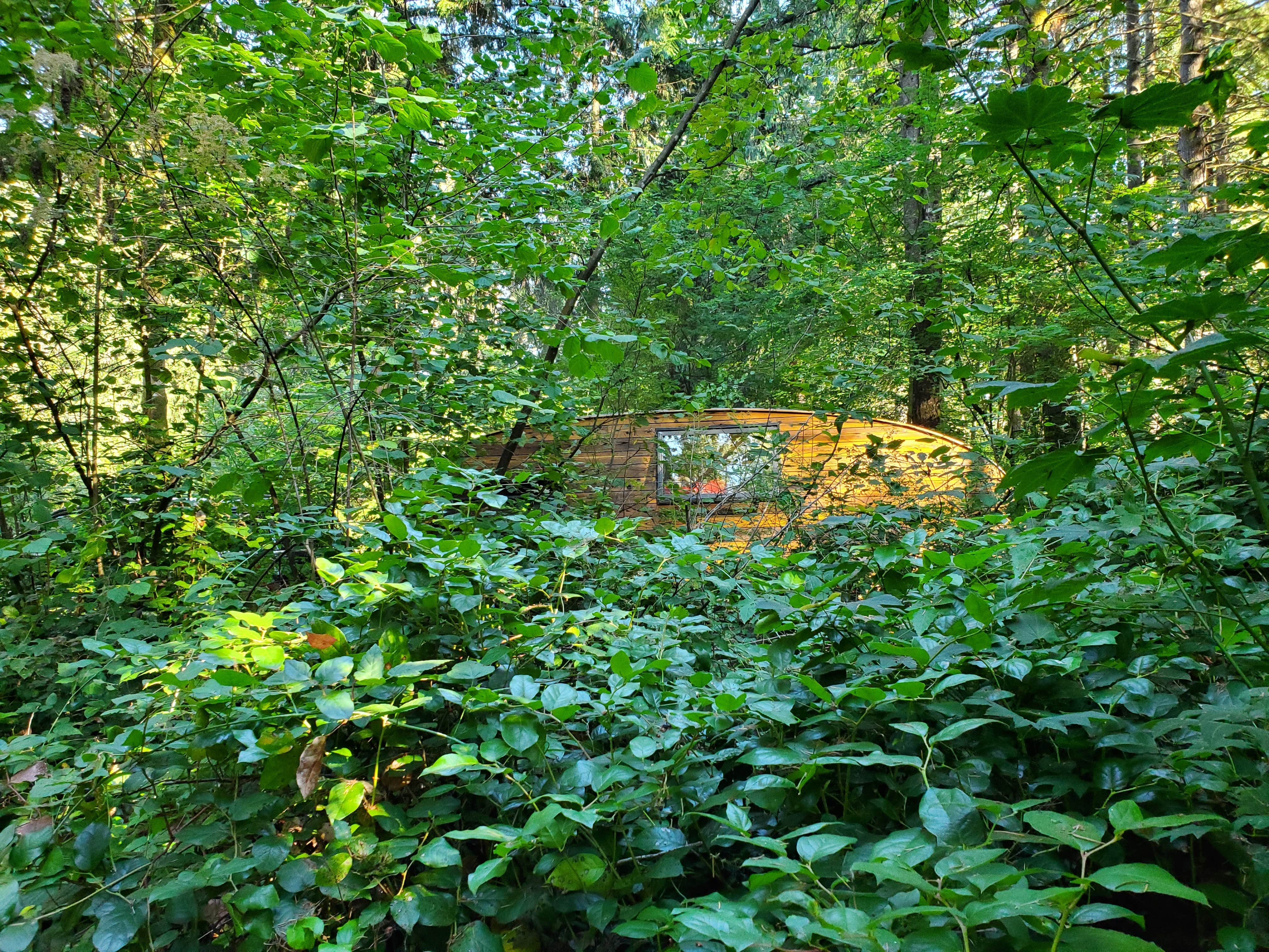 Camper-submitted photo at American Heritage Campground near DuPont, WA