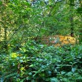 Review photo of American Heritage Campground by Amy B., September 21, 2020
