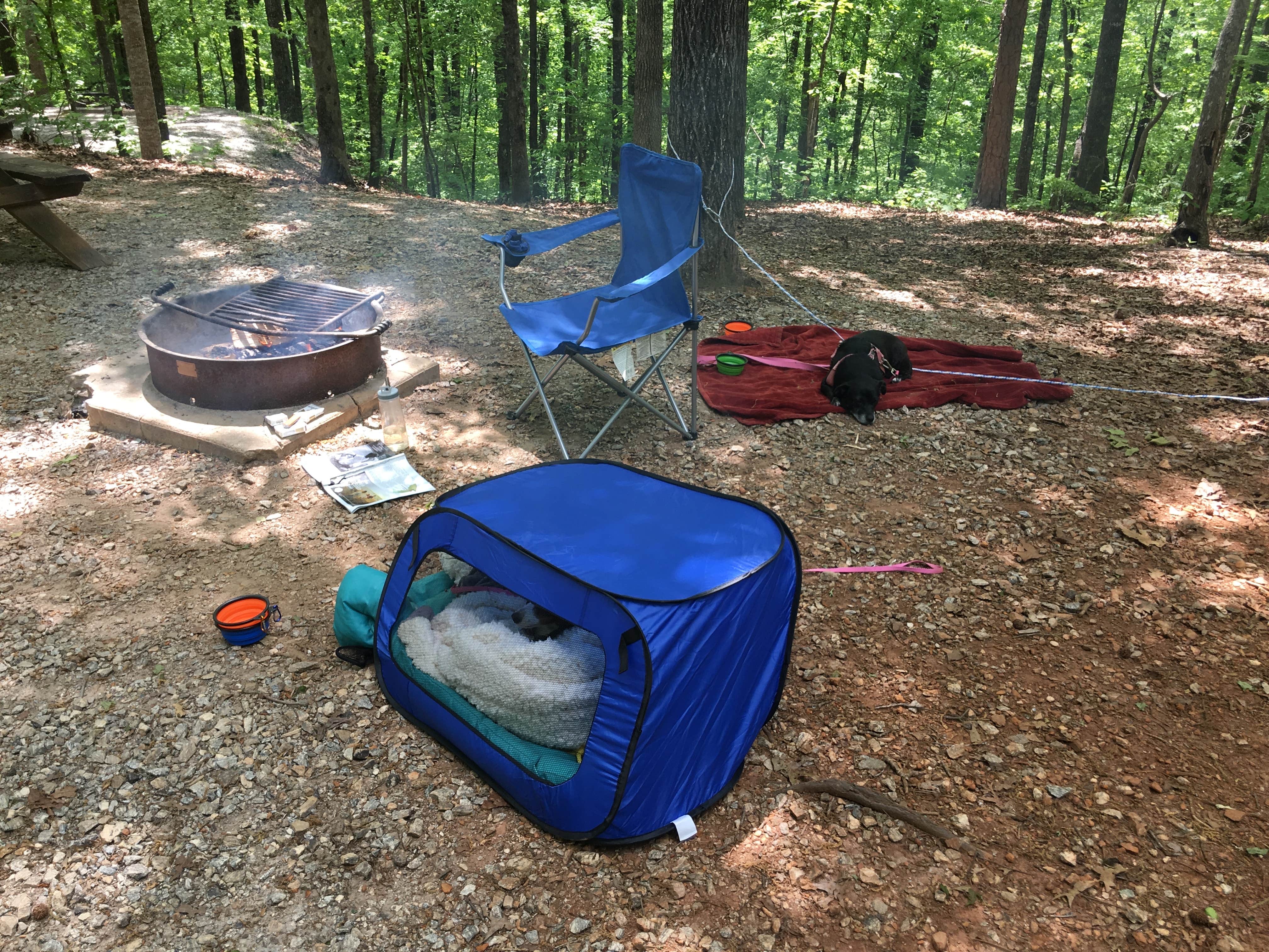Candy H.'s photo of tent camping at Jocassee Gorges Wildlife Management Area near Balsam Grove, NC