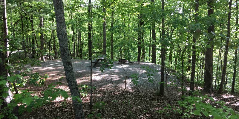 Camper submitted image from Jocassee Gorges Wildlife Management Area