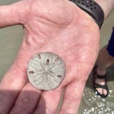 Review photo of Hunting Island State Park Campground by Julie , September 21, 2020