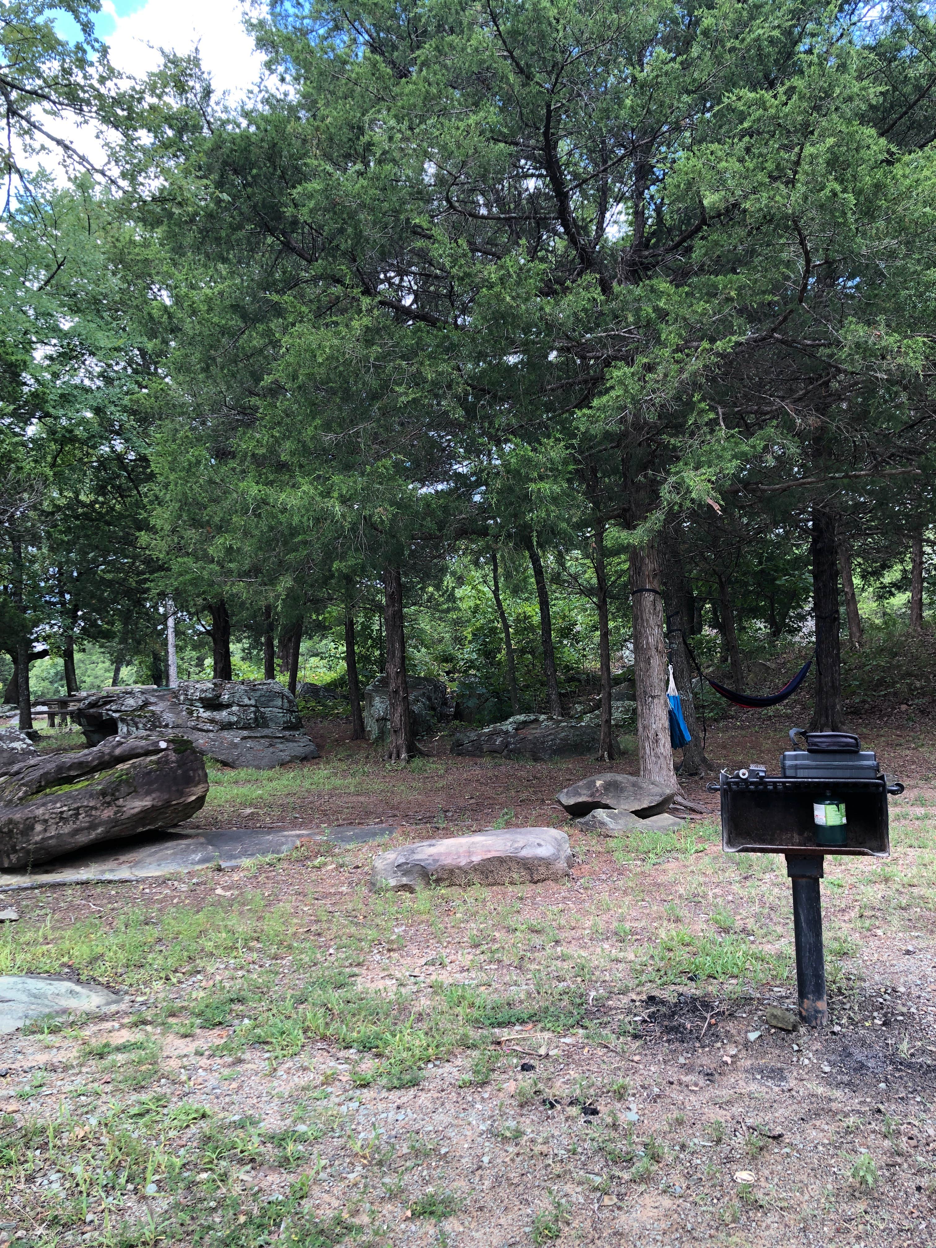 Camper-submitted photo at Ladybird Landing near Eufaula Lake