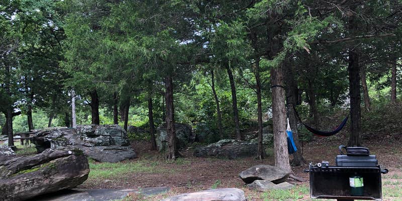 Camper submitted image from Ladybird Landing