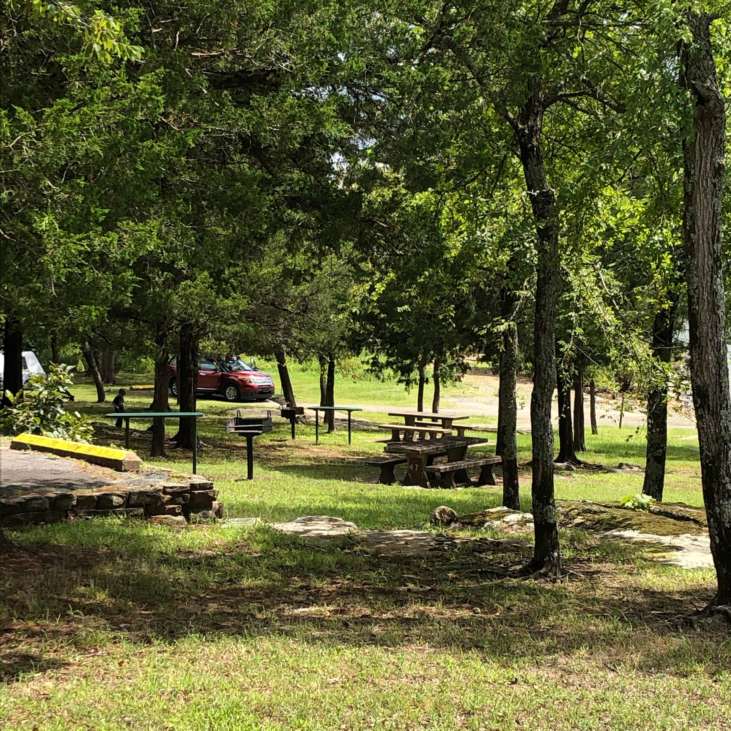 Camper submitted image from Ladybird Landing - 2