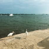 Review photo of Boyd's Key West Campground by Virginia W., May 17, 2018