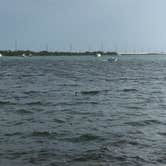 Review photo of Boyd's Key West Campground by Virginia W., May 17, 2018