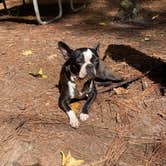 Review photo of Dreher Island State Park Campground by Marissa H., September 21, 2020