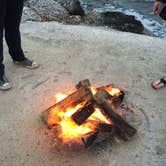 Review photo of Boyd's Key West Campground by Virginia W., May 17, 2018
