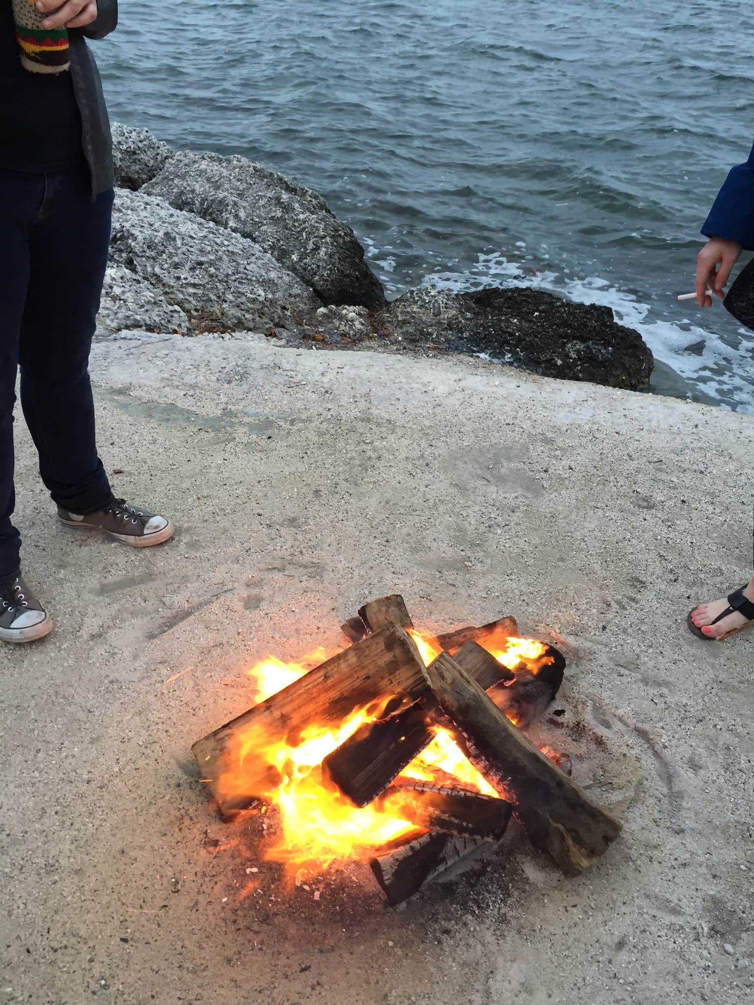Camper submitted image from Boyd's Key West Campground - 4