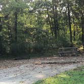 Review photo of Finger Lakes State Park Campground by Cathy S., September 21, 2020