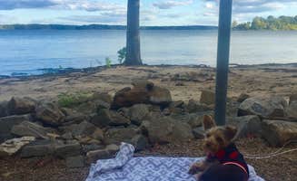 Valerie C.'s photo of camping with pets at Henderson Point Campground — Kerr Lake State Recreation Area near Louisburg, NC