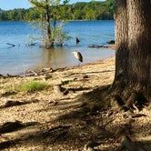Review photo of Henderson Point — Kerr Lake State Recreation Area by Valerie  C., September 21, 2020