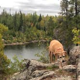 Review photo of Trail's End Campground by Jennifer H., September 21, 2020