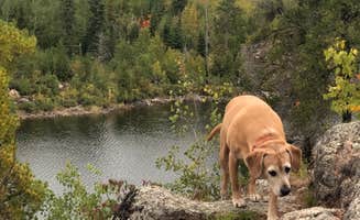 Jennifer H.'s photo of camping with pets at Trail's End Campground near Superior National Forest