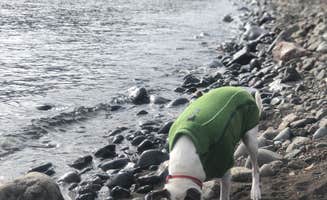 Jennifer H.'s photo of camping with pets at Split Rock Lighthouse State Park Campground in Minnesota