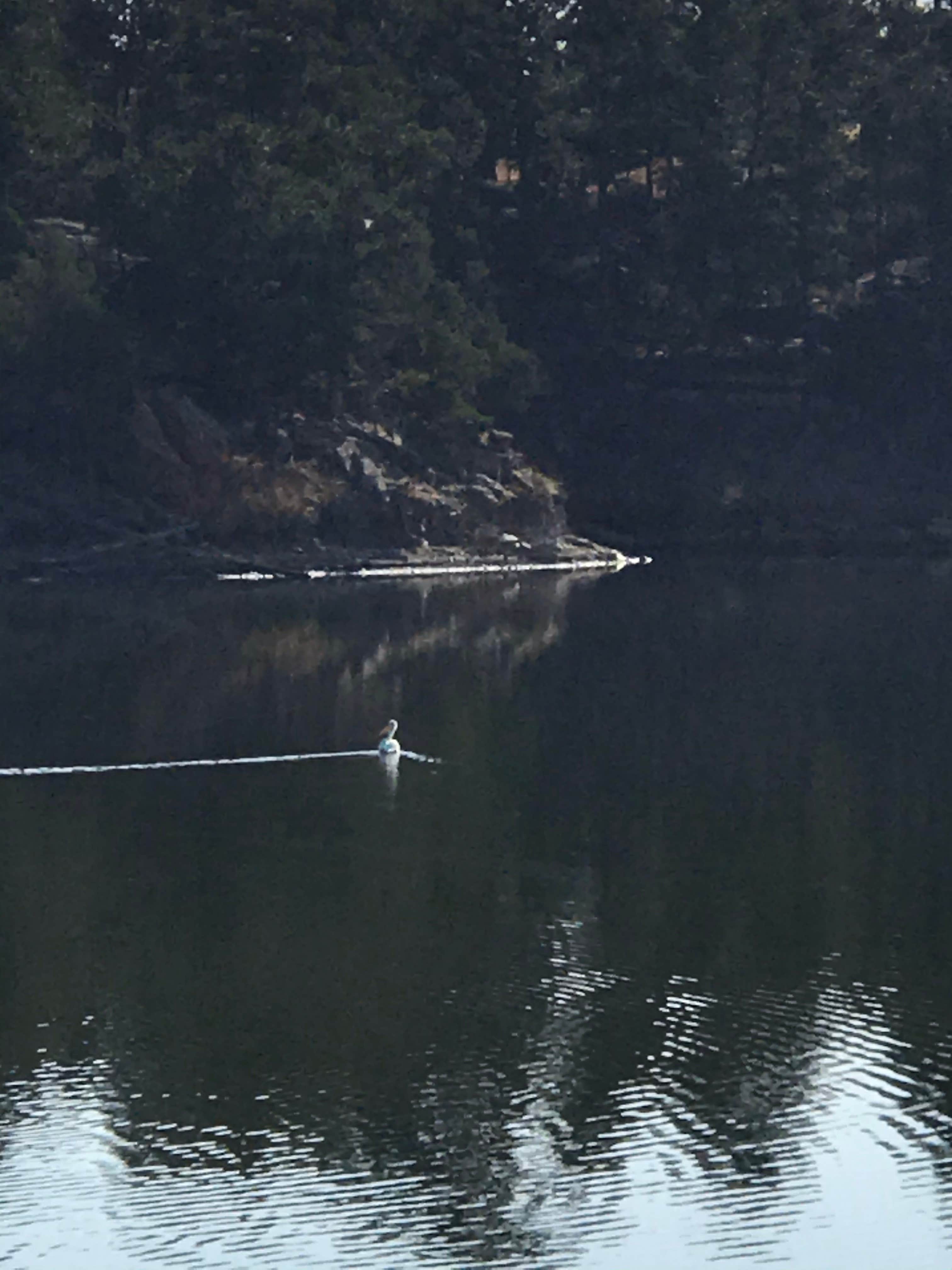 Camper-submitted photo at Coulter Bay Campground — Keyhole State Park near Devils Tower National Monument