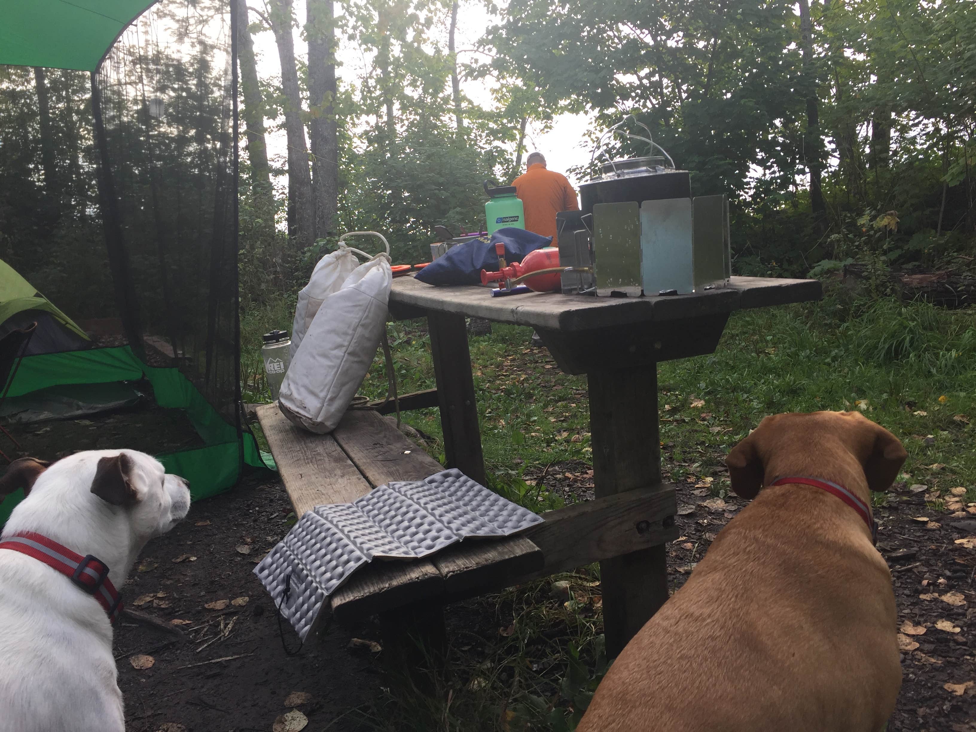 Jennifer H.'s photo of camping with pets at Cart-In Campground — Split Rock Lighthouse State Park near Schroeder, MN
