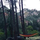 Review photo of Pine Flat Campground West by Carly E., May 17, 2018