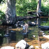 Review photo of George Crosby Manitou State Park by Jennifer H., September 21, 2020